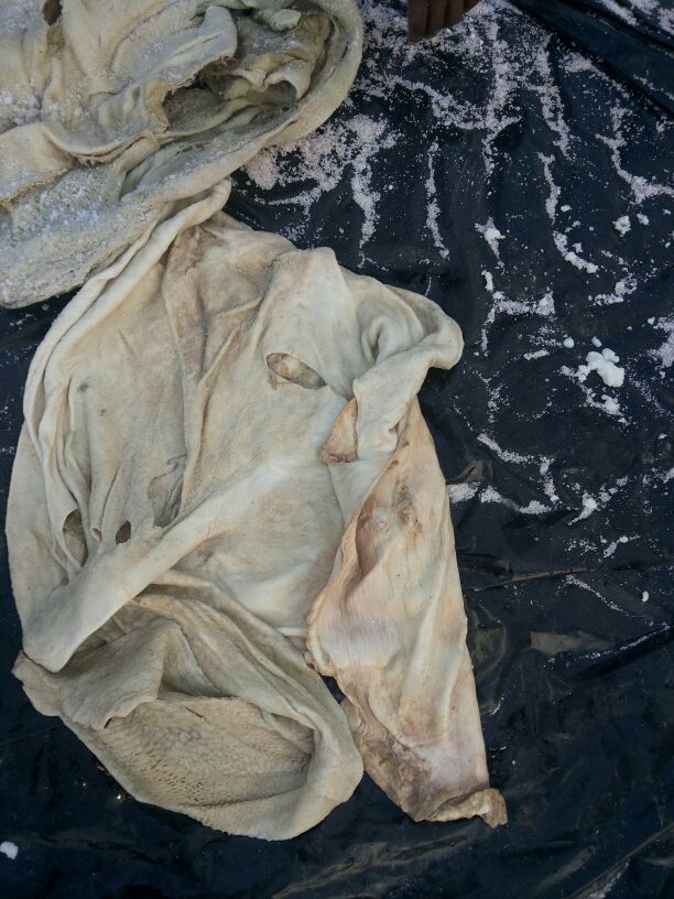 Portfolio Image